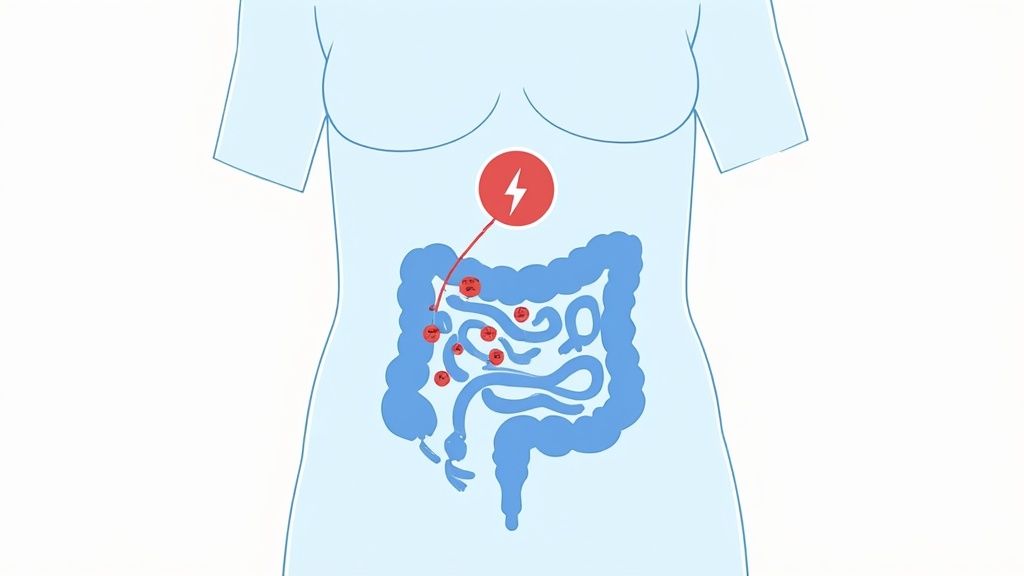 Understanding E. coli O157:H7 in Commercial Spaces